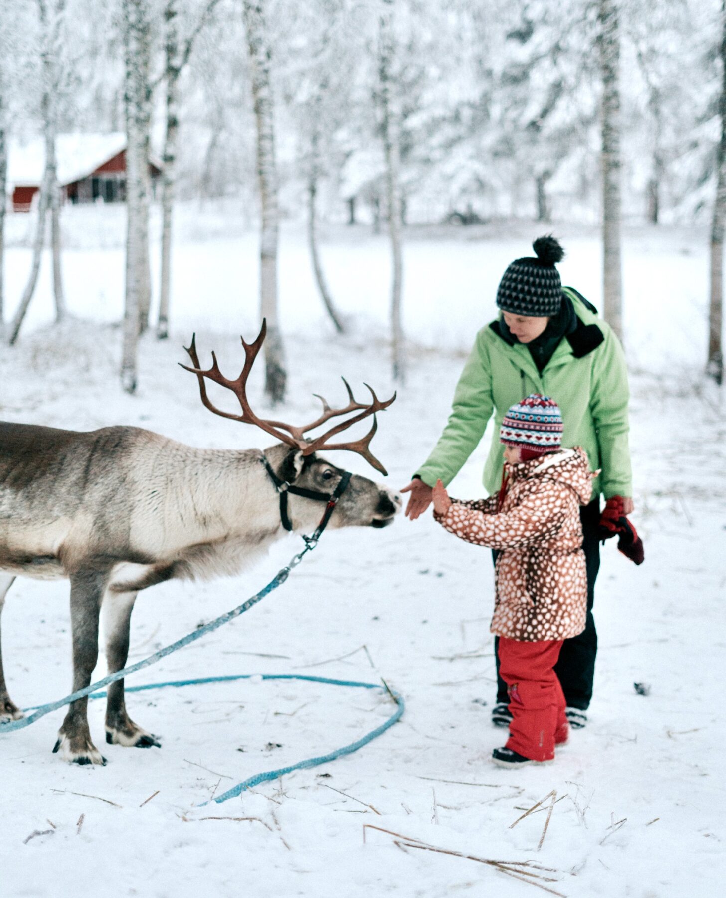 Winter - Arctic Circle Park