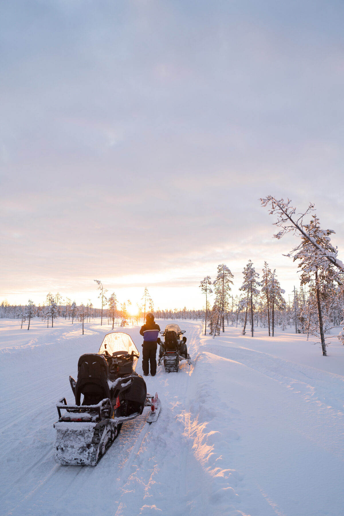 Evening Snowmobile Safari - Arctic Circle Snowmobile Park