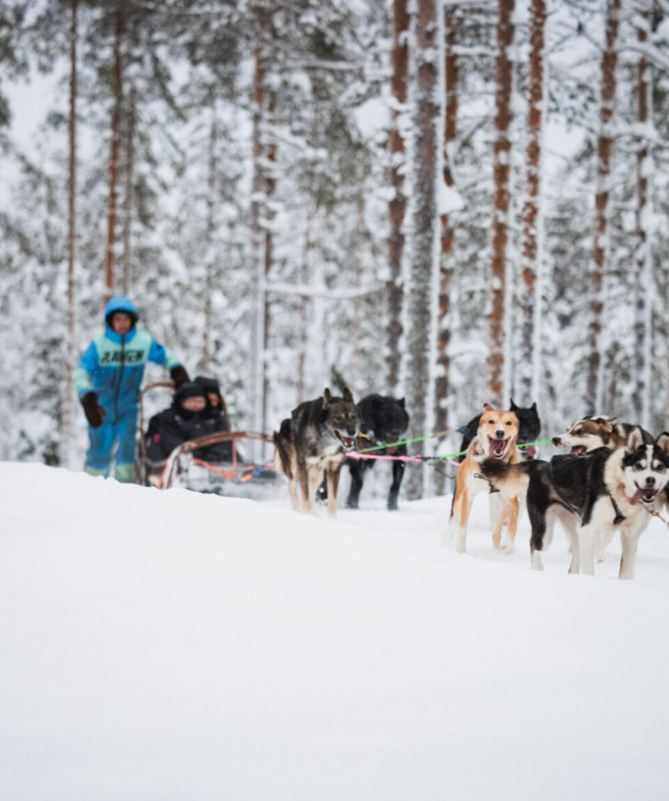 Rovaniemi Two days Adventure Package