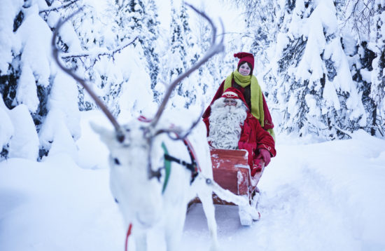 reindeer farm in rovaniemi