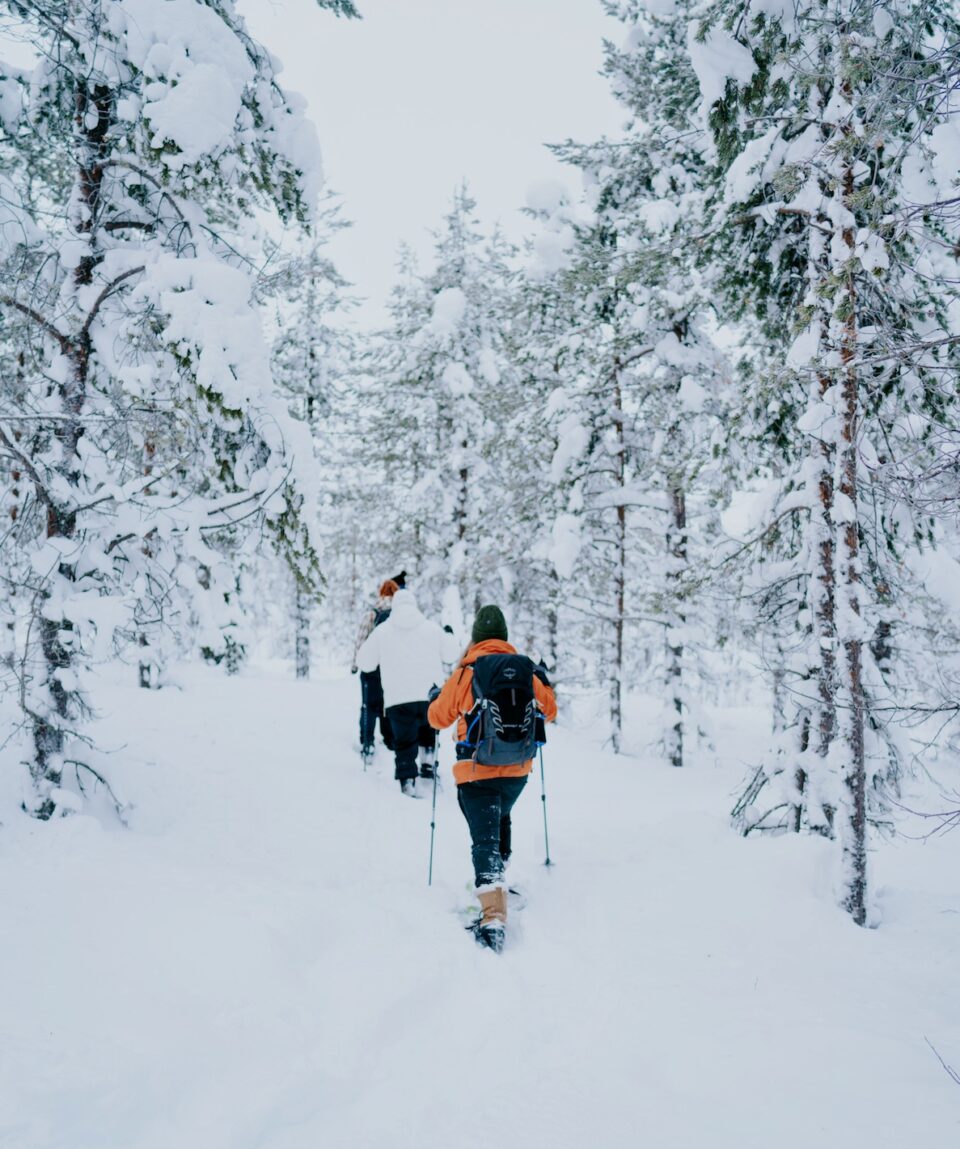 Snowshoeing Tour in Levi3