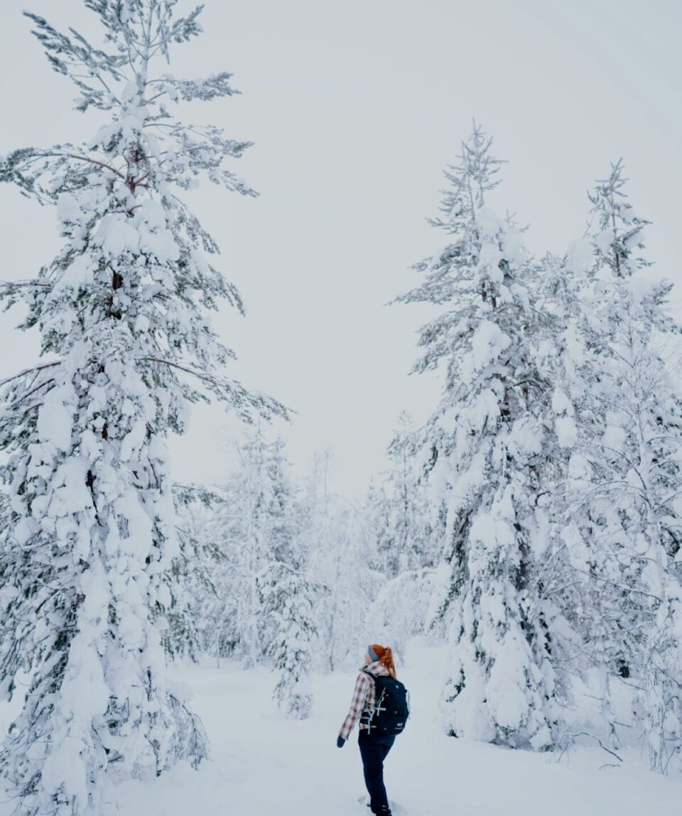 Snowshoeing Tour in Levi4