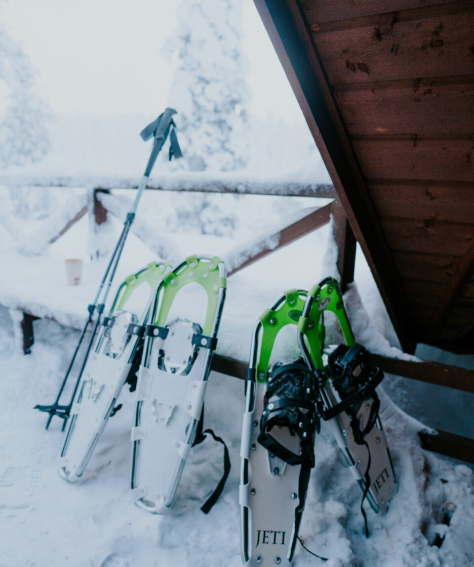 Snowshoeing Tour in Levi6