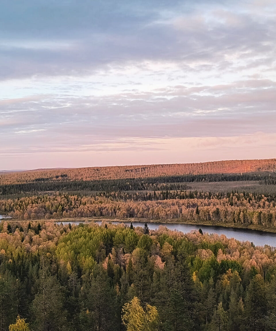 103e8870-b84c-4738-8ace-6e3d794d4c00