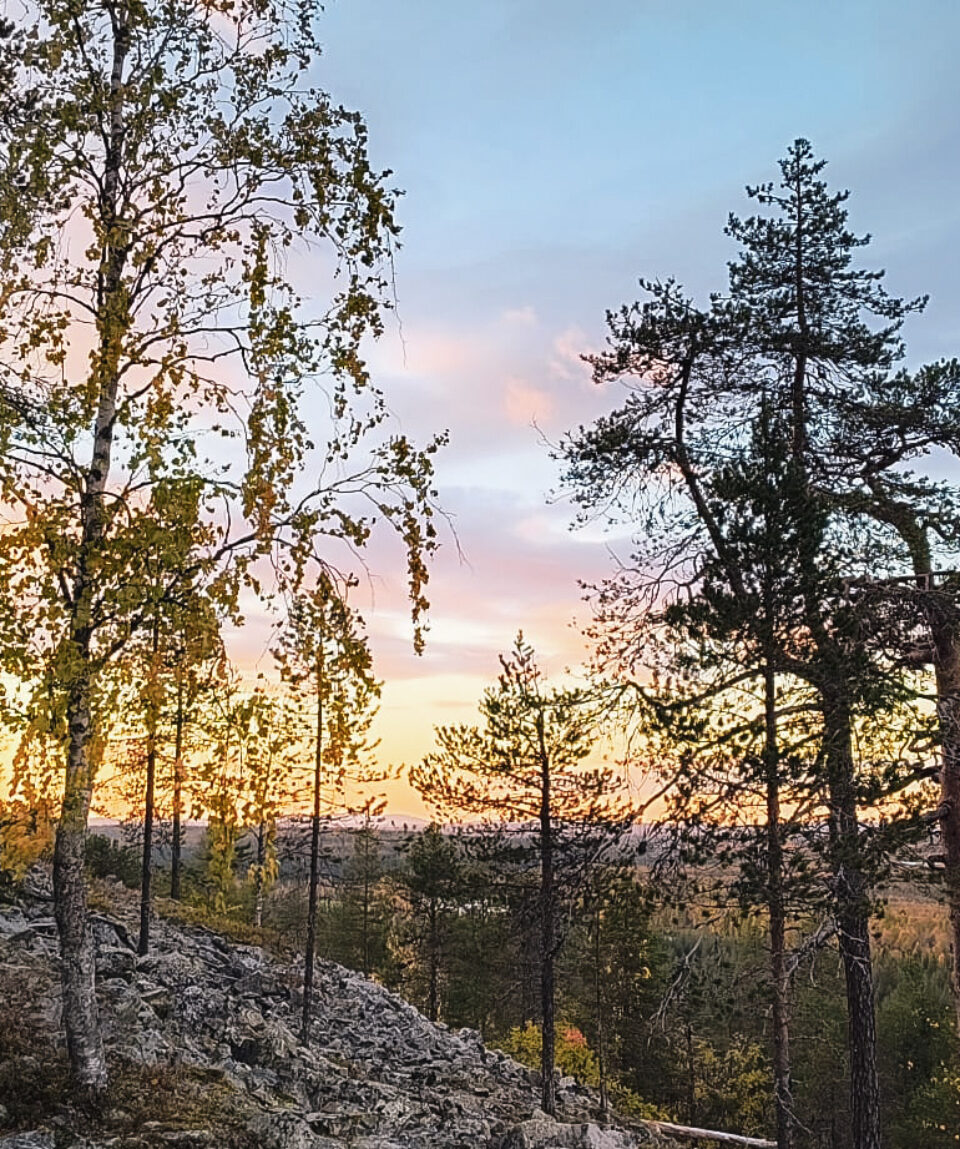 4937be89-a95d-41fd-870a-2a8ab1cb3708