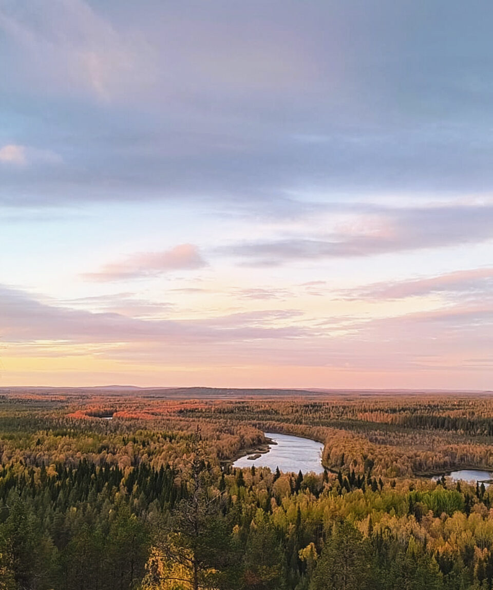 8eb7e482-34d0-493b-a24e-302adf97f39a