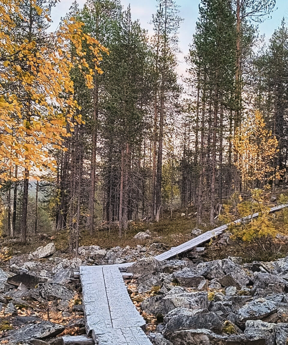 92a8d1d4-b2d7-4a75-992b-5905181626da