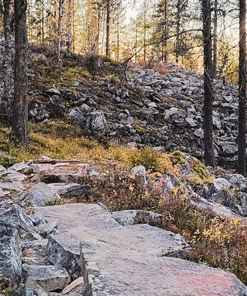 ef5c56cb-73c0-4c41-8d3a-a8ac435c5639