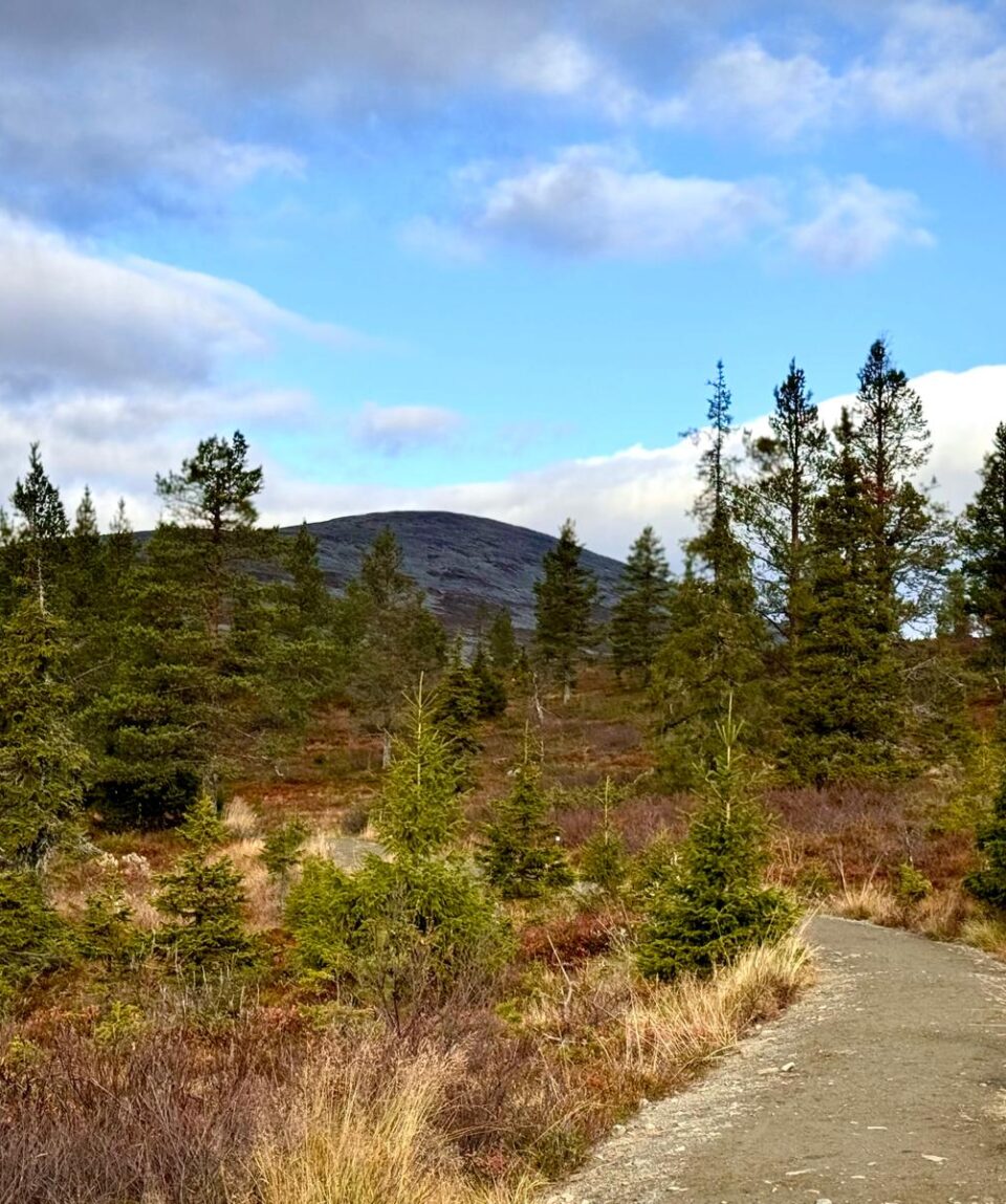 WhatsApp-Kuva 2025-10-02 klo 14.29.30_374c7372