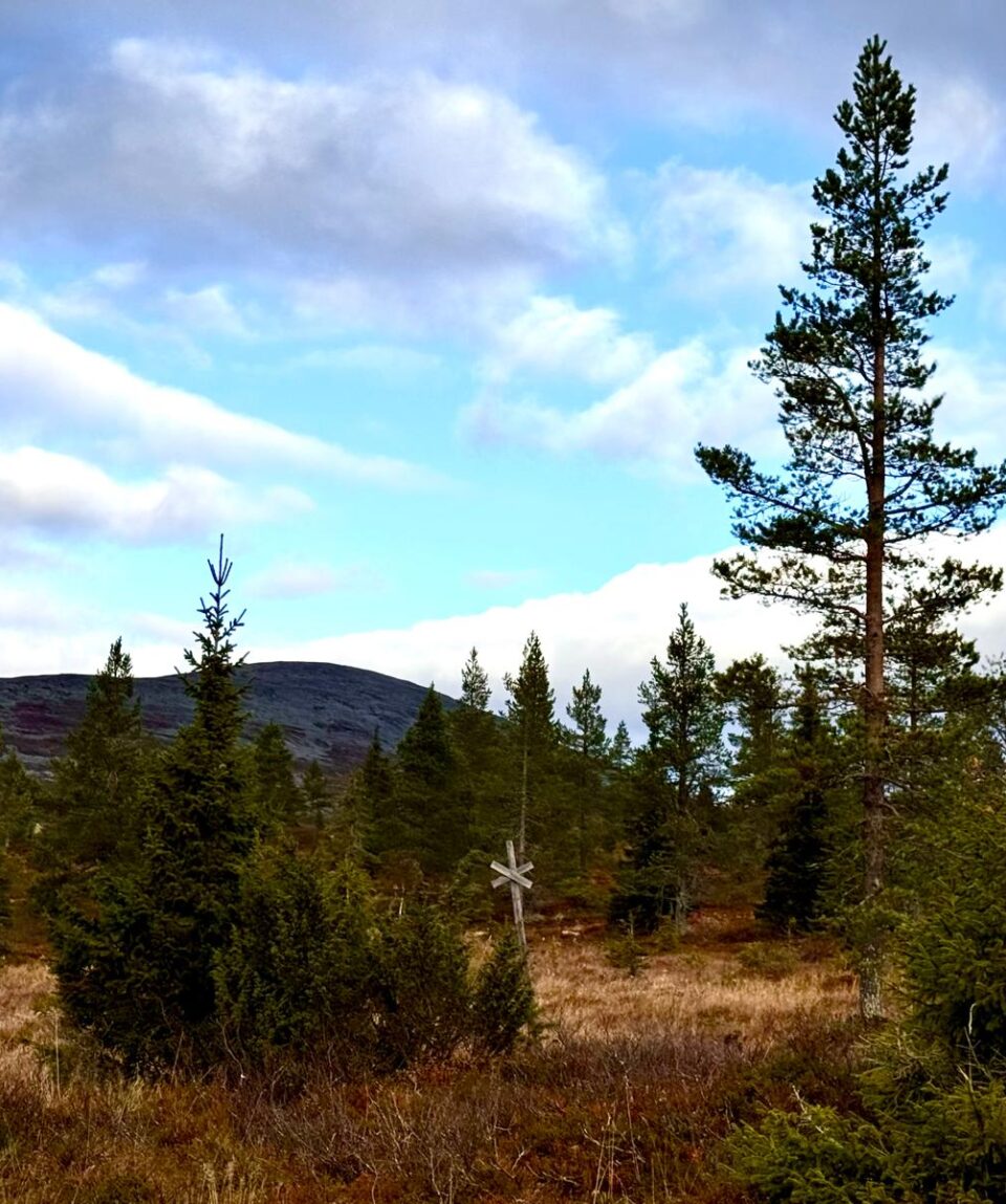 WhatsApp-Kuva 2025-10-02 klo 14.29.30_9b8d39ab